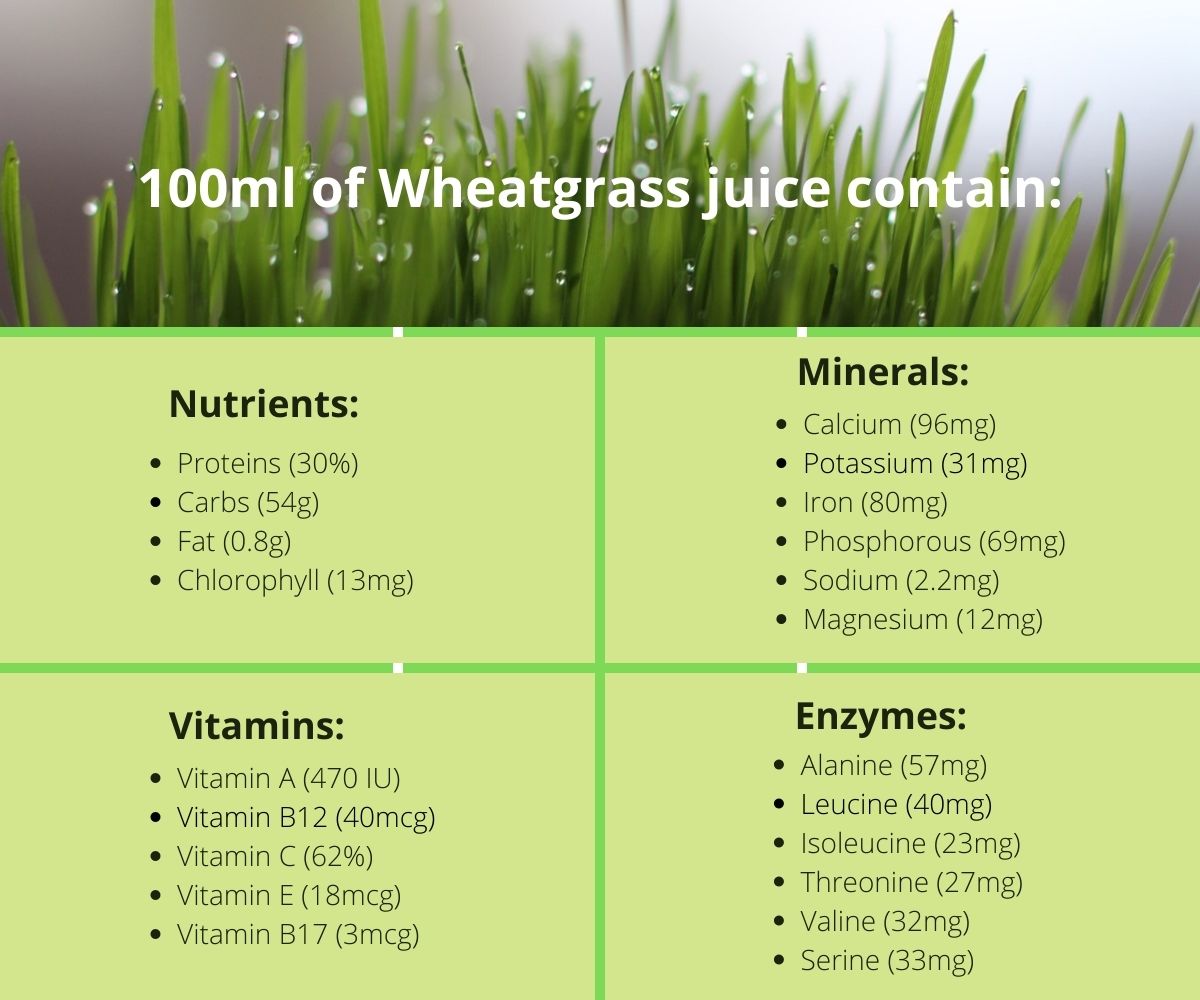 100ml of Wheatgrass juice contain