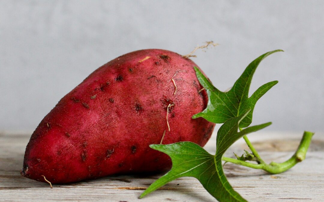 Are sweet potatoes good for juicing?