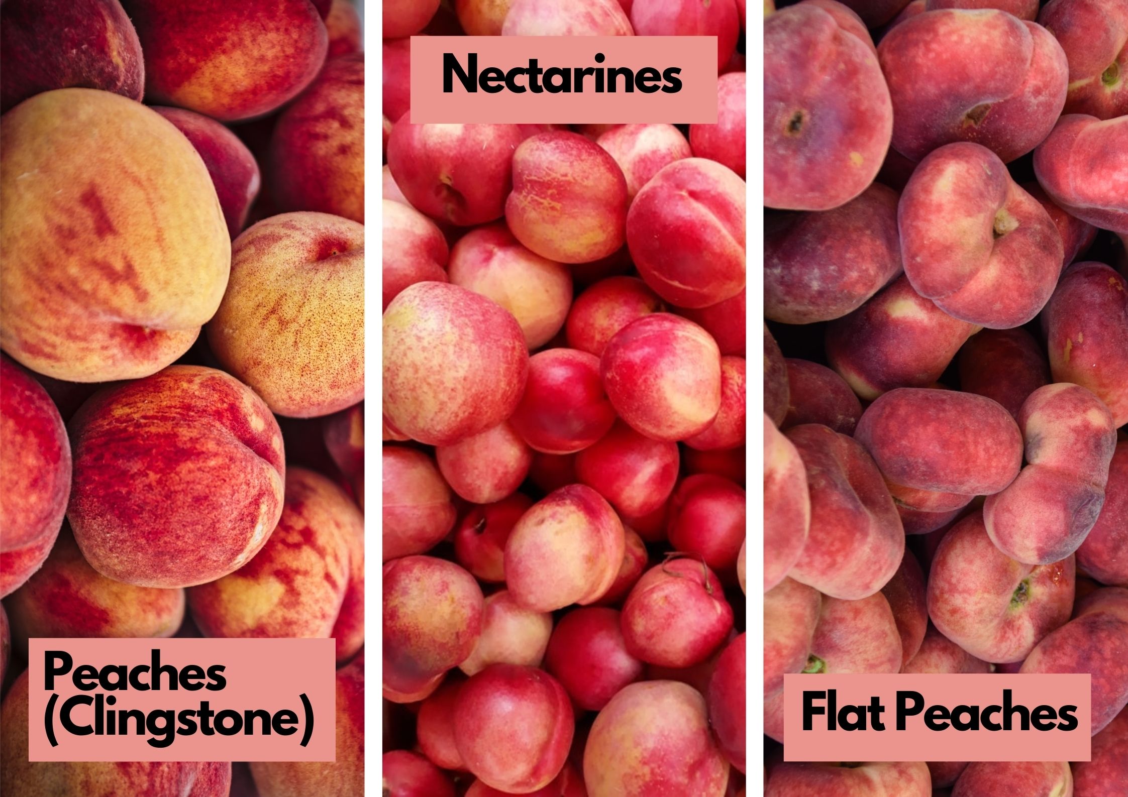 Types of Peaches