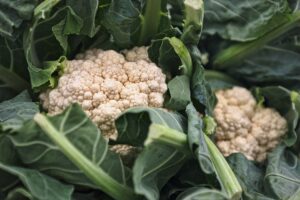 Can You Juice Cauliflower? We Allay All The Doubts!